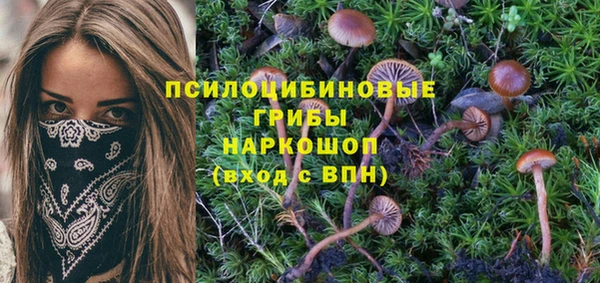 apvp Верхнеуральск