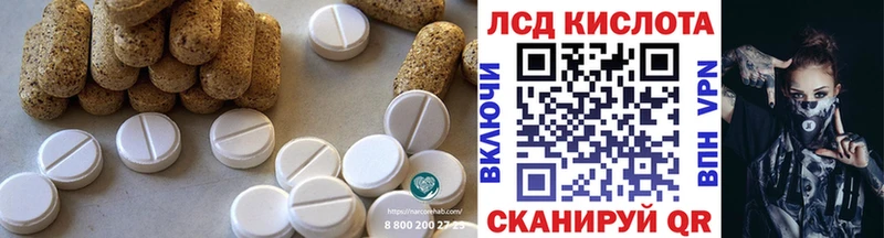 где купить наркоту  Выборг  ЛСД экстази кислота 