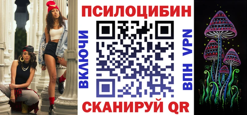 купить наркоту  Выборг  Псилоцибиновые грибы Psilocybine cubensis 