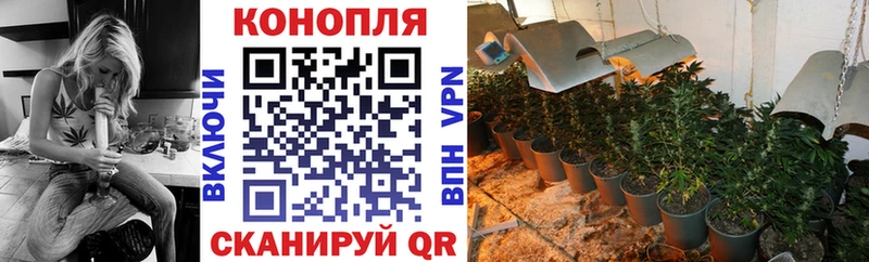 mega онион  где купить   Выборг  Шишки марихуана индика 